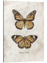 Magnettafel Monarchfalter – Danaus Plexippus