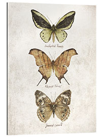 Gallery print Butterflies IV