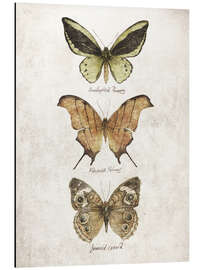 Magnettafel Schmetterlinge IV