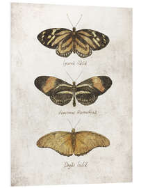 Foam board print Butterflies III