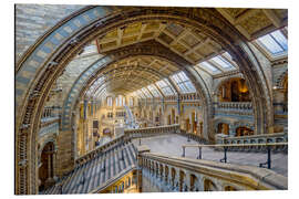 Stampa su alluminio Museo di storia naturale, Londra