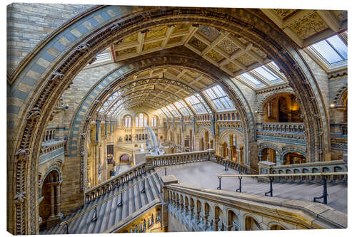 Canvas print Natural History Museum, London