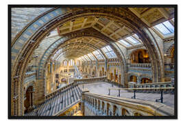 Gerahmter Kunstdruck Natural History Museum, London
