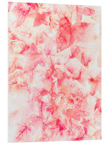 Foam board print Red Ivy