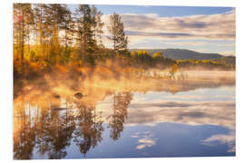 Print på skumplade A beautiful misty morning by the lake