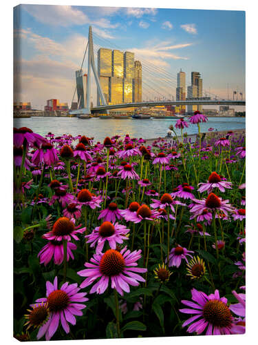 Leinwandbild Erasmusbrücke, Rotterdam