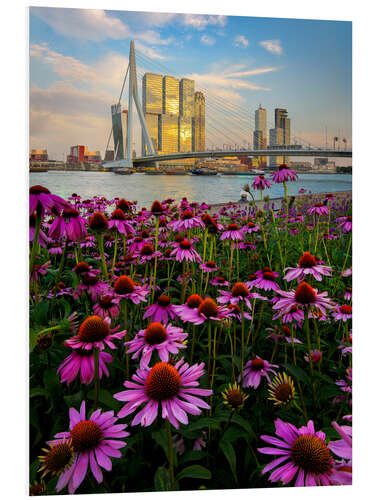 Foam board print Erasmus bridge in Rotterdam