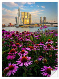 Naklejka na ścianę Erasmus bridge in Rotterdam