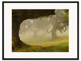 Gerahmter Kunstdruck Nebel über dem Lorbeerwald Fanal, Madeira