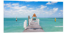 Foam board print Jetty on the Caribbean sea