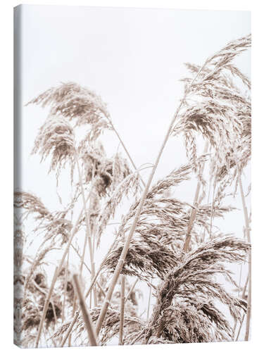 Quadro em tela Autumn reeds III