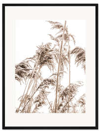 Gerahmter Kunstdruck Herbst Schilf II