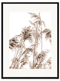 Framed art print Autumn Reeds II