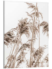 Magnettafel Herbst Schilf II