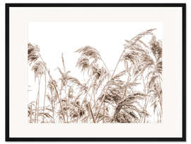 Gerahmter Kunstdruck Herbst Schilf I