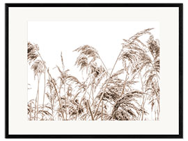 Framed art print Autumn Reeds I