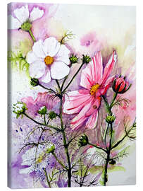 Canvas print Cosmea