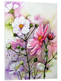 Foam board print Cosmea