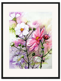 Gerahmter Kunstdruck Cosmea