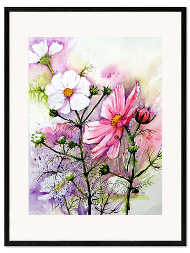Ingelijste kunstdruk Cosmea