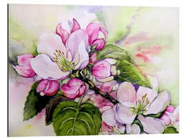 Aluminium print Apple blossoms