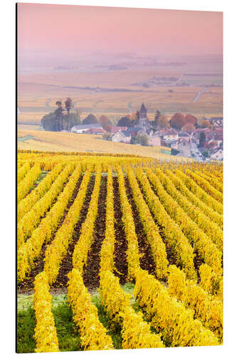 Aluminium print Vineyards in Champagne, France