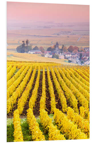 Bilde på skumplate Vineyards in Champagne, France