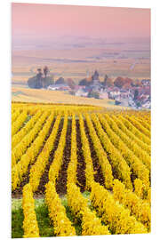 Bilde på skumplate Vineyards in Champagne, France