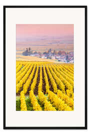 Gerahmter Kunstdruck Weinberge in Champagne, Frankreich