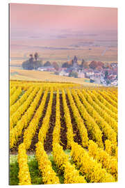 Gallery print Vineyards in Champagne, France