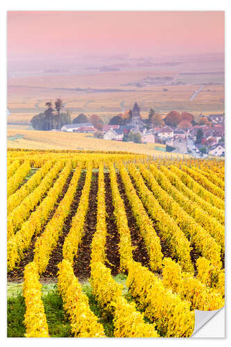 Självhäftande poster Vineyards in Champagne, France