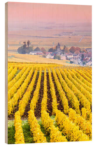 Wood print Vineyards in Champagne, France