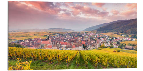 Aluminium print Vineyards in Alsace, France