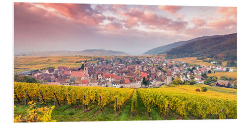 Foam board print Vineyards in Alsace, France