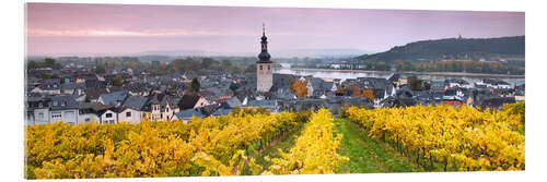 Acrylglas print Rudesheim and its vineyards, Germany