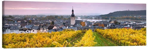 Tableau sur toile Rüdesheim et ses vignobles, Allemagne