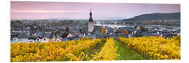 Bilde på skumplate Rudesheim and its vineyards, Germany