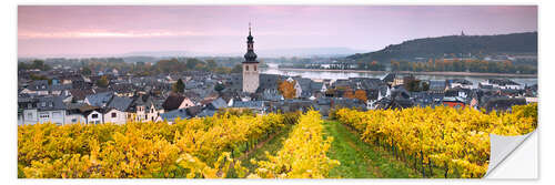 Sticker mural Rüdesheim et ses vignobles, Allemagne