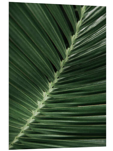 PVC-taulu Palm leaf I