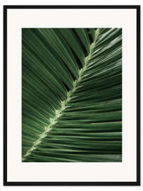 Gerahmter Kunstdruck Palmenblatt I