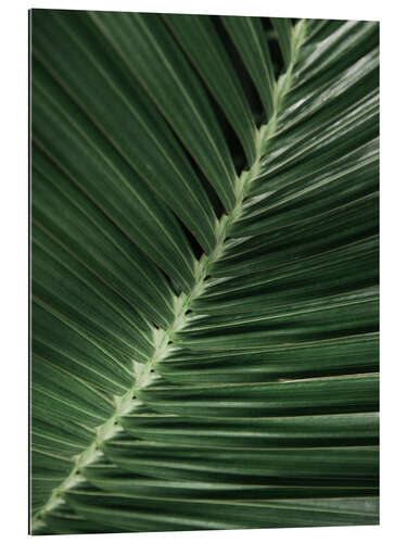 Galleritryk Palm Leaf I