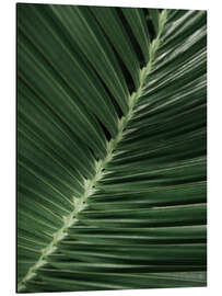 Magnettafel Palmenblatt I
