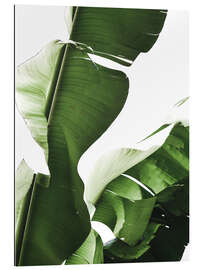 Gallery print Banana leaf I