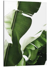 Magnettafel Bananenblatt I