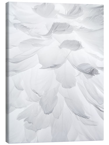 Canvas print Feathers II