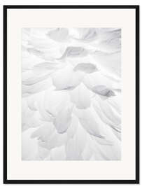 Gerahmter Kunstdruck Federn II