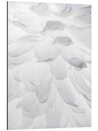 Magnettafel Federn II