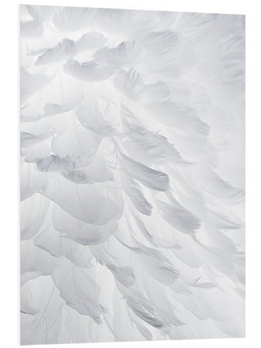 Tableau en PVC Plumes I