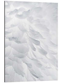 Magnettafel Federn I