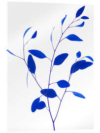 Acrylglasbild Zarter zweig - Classic blue